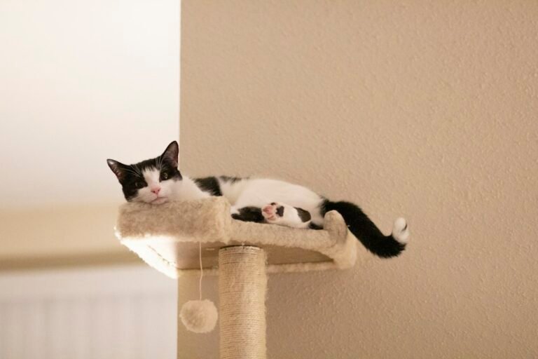 Illustrative tree pet photograph; not the specific reviewed product